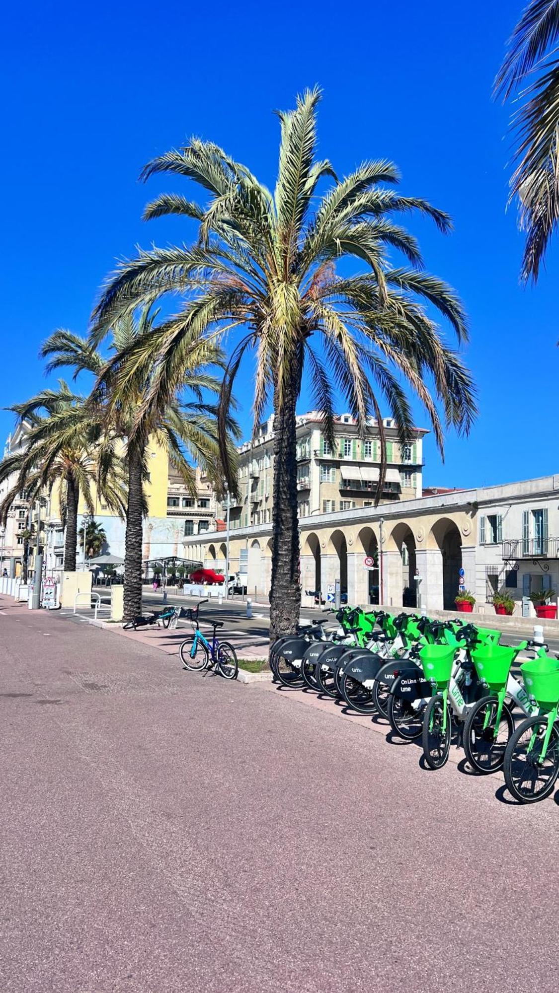 Appartement Le Syrius Nice